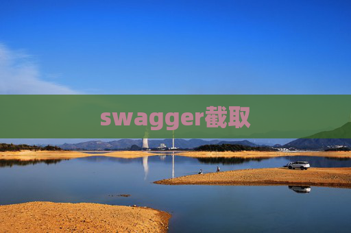 swagger截取
